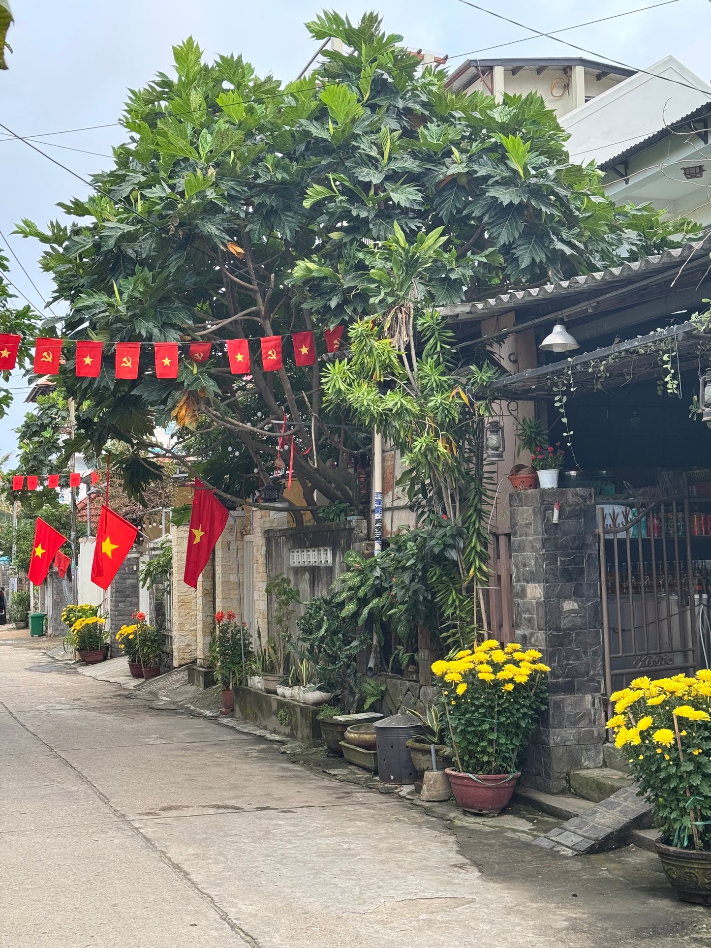 Hoi An Private House: A 2BR Retreat Near Rice Fields, Ancient Town, & the Beach Stay by Travwell