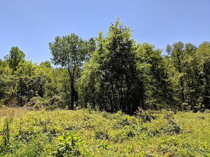 Nature Preserve Google review in Charlotte