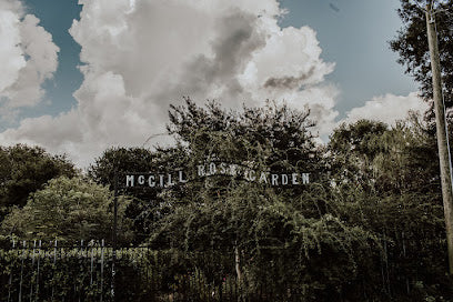 Charlotte Google Review on McGill Rose Garden in Noda